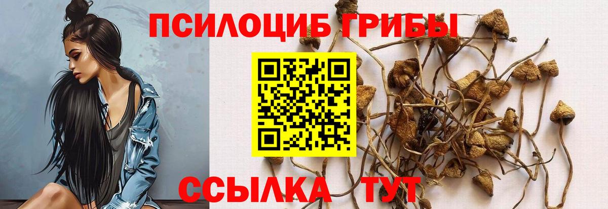 Галлюциногенные грибы Psilocybine cubensis  Вход с VPN  Донской 
